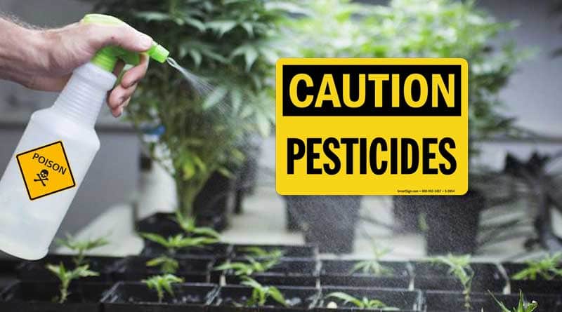 compliance issues with pesticides