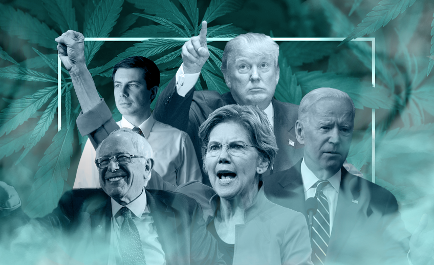 presidential candidates and their stances on cannabis