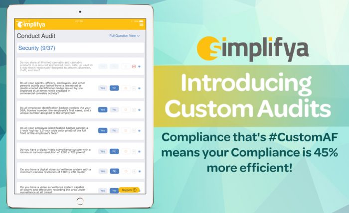 Introducing Simplifya Custom Audits: Audit Your Business Your Way