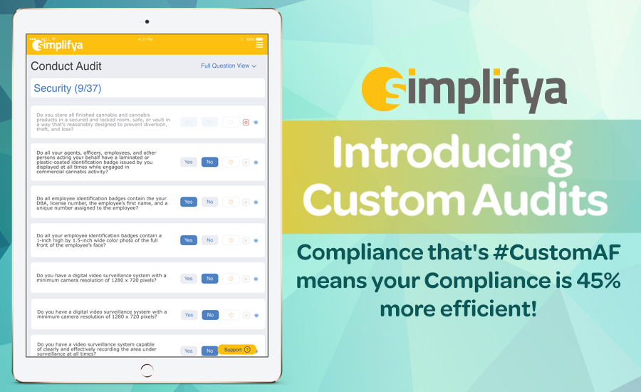 Introducing Simplifya Custom Audits: Audit Your Business Your Way